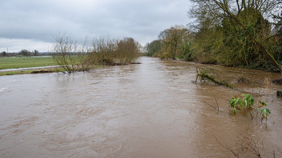 Picture of brown water in the River Severn