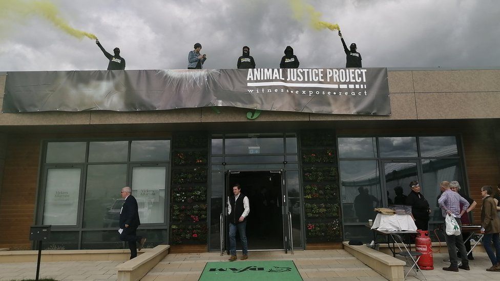Five people stand on the roof of the cattle market displaying an Animal Justice Project banner, two are holding green flares