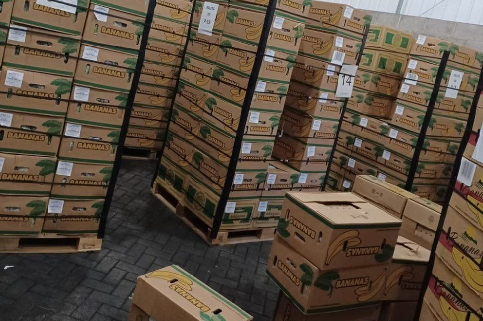 £10m cocaine haul in banana boxes