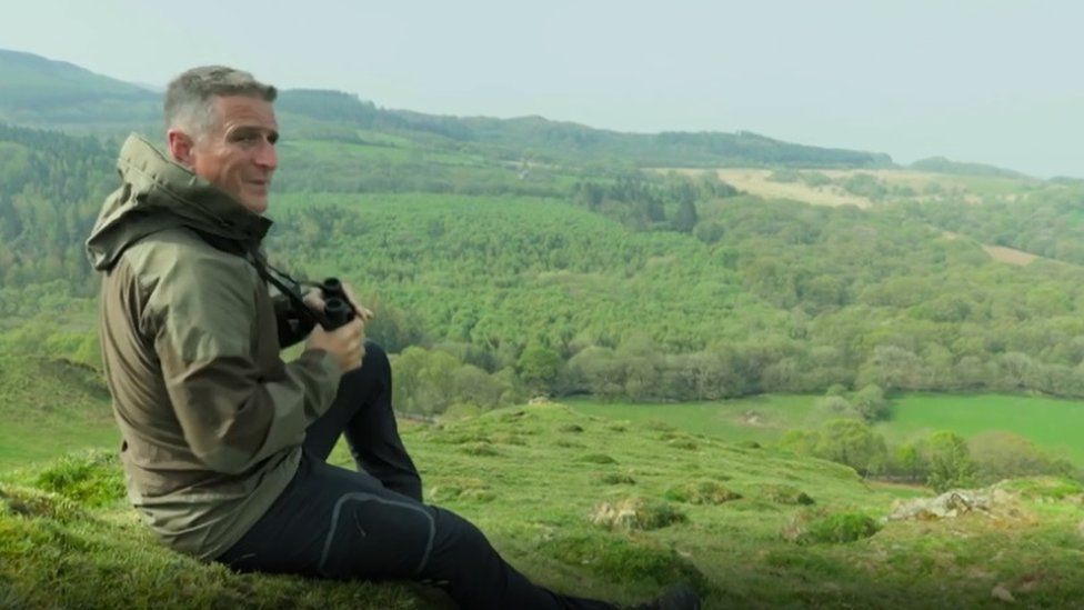 Springwatch presenter Iolo Williams previously called for sea scooter users to require licences