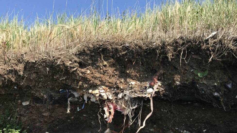 Plastic waste exposed by coastal erosion
