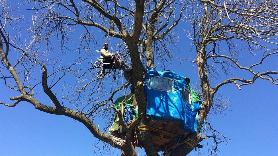 A protester in a wheelchair tied high up a tree