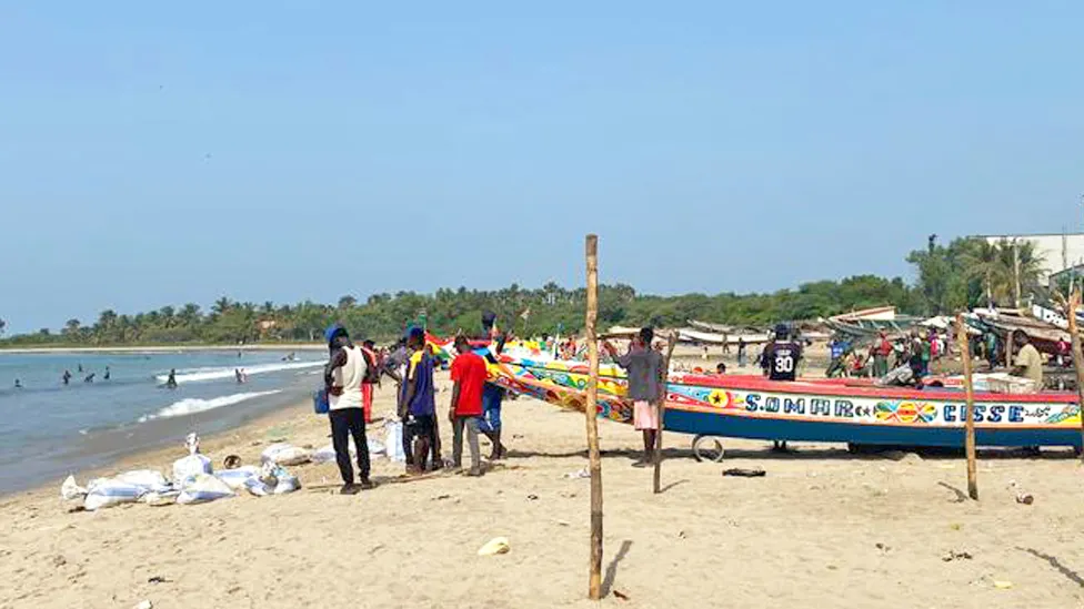 The fishy business of a Chinese factory in The Gambia