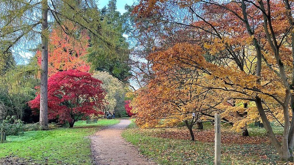 SUNDAY - Harcourt arboretum
