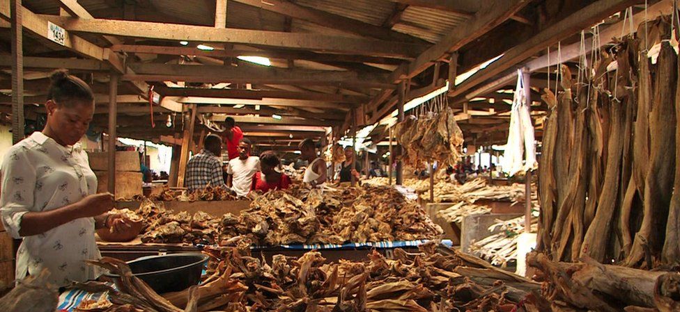 The stockfish markets of Nigeria