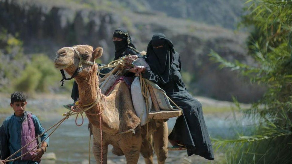 Mujeres embarazadas en camellos