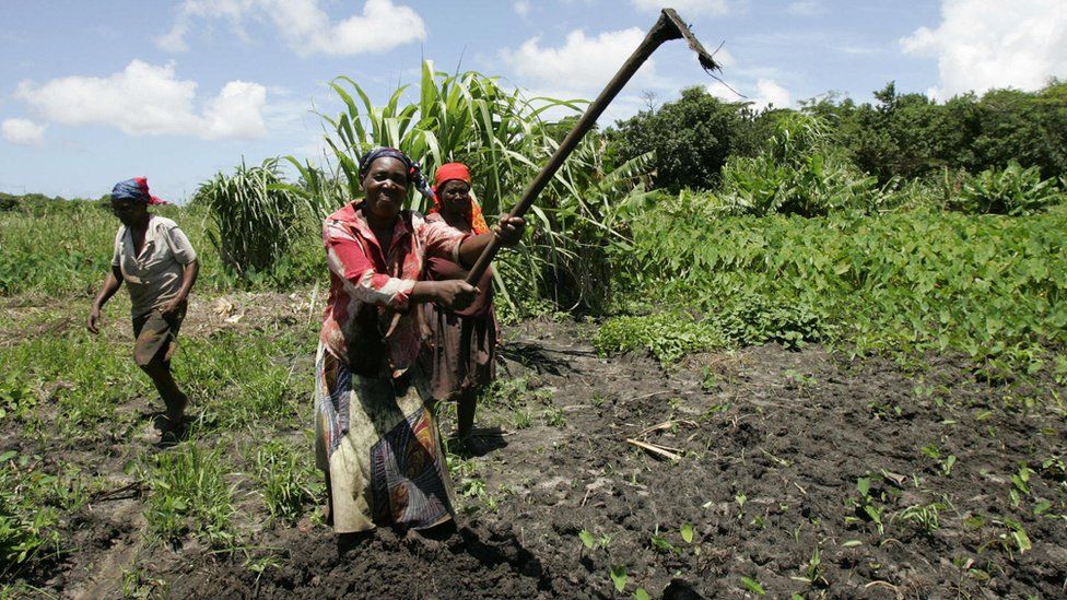 Farmers in South Africa