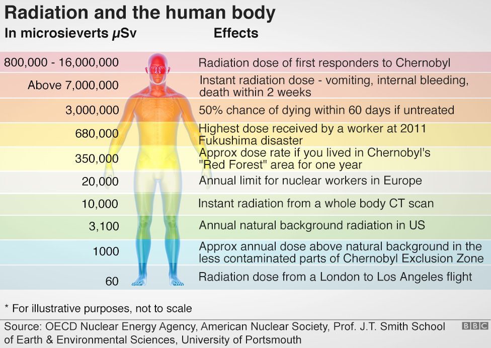 The risk of radiation to the human body