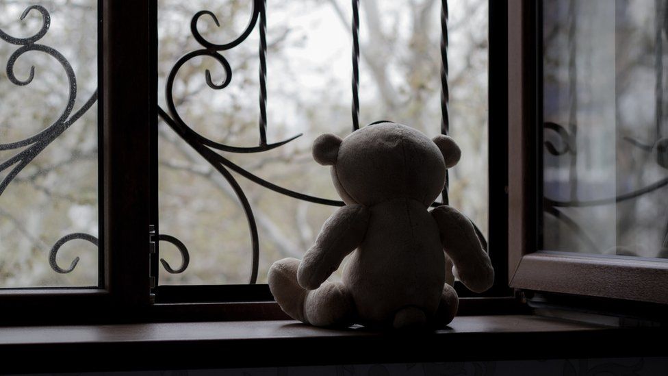 teddy on a window