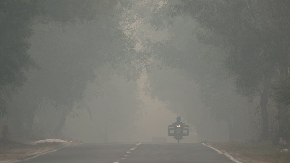 Indonesia haze: Why do forests keep burning? - BBC News