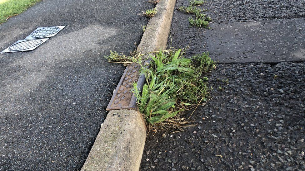 weeds in a gully on Station Road