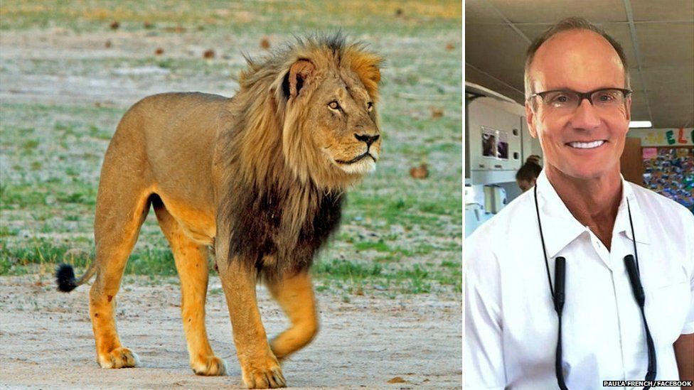 Cecil the lion (left) and Walter Palmer, the US dentist who killed the animal