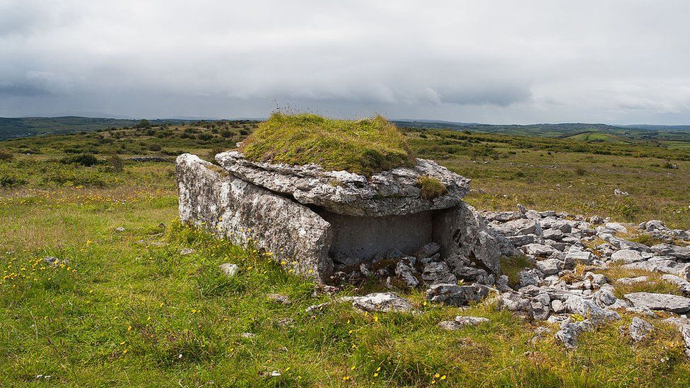 Parknabinnia wedge tomb