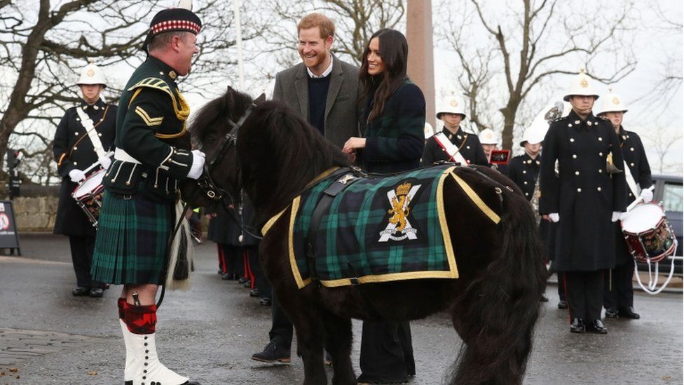 Prince Harry and Meghan Markle meet Pony Major Mark Wilkinson and regimental mascot Cruachan IV