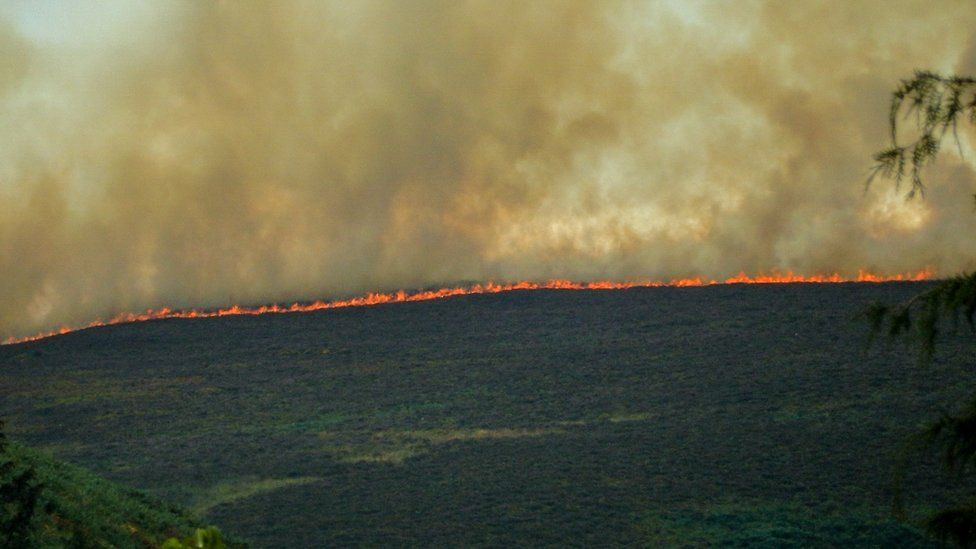 Moorland in Denbighshire alight