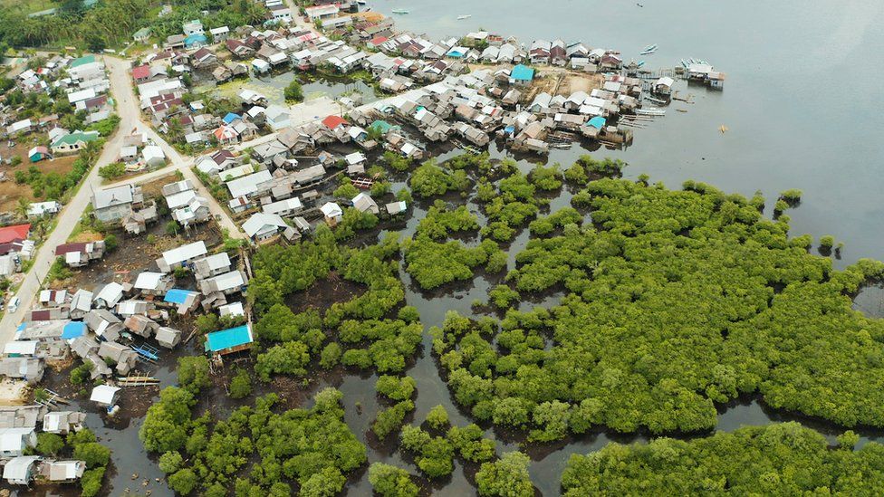 Village on waterside surrounded by mangrove trees on the right and left of the picture