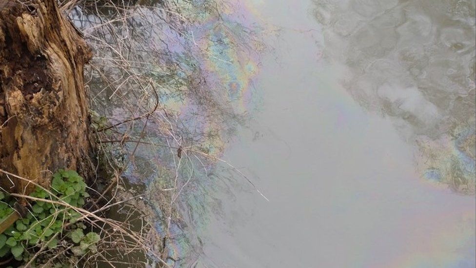 Oil spill on the River Stour, Canterbury