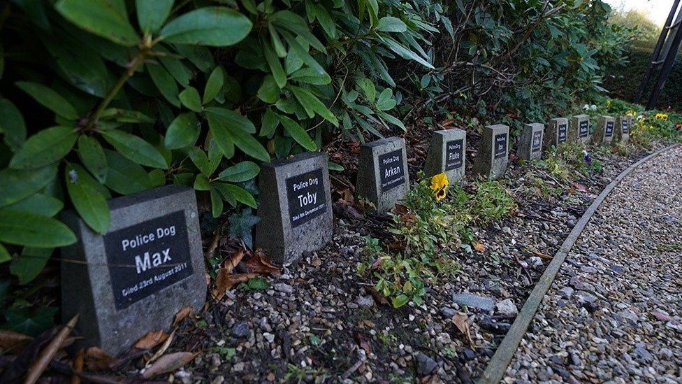 Derbyshire Police's remembrance garden
