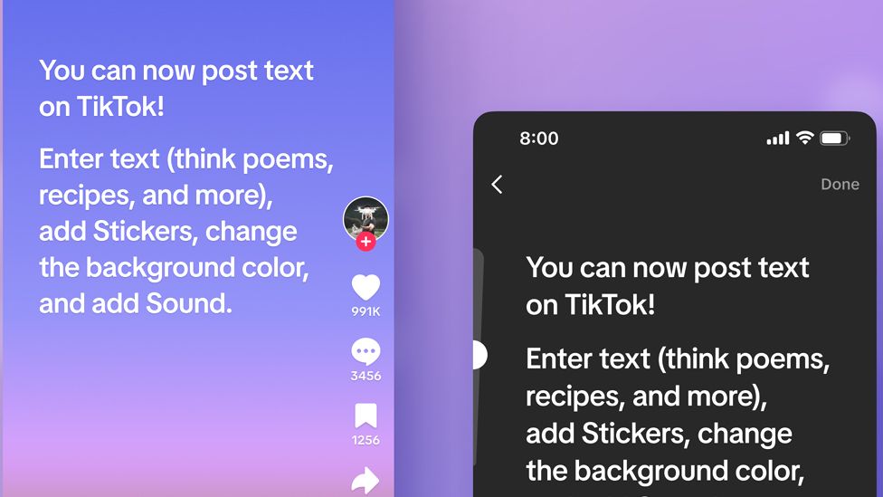 Screenshot of TikTok text.