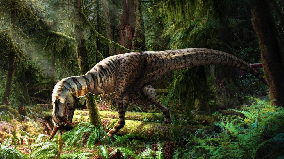 An artist's impression of the tyrannosaur hunting
