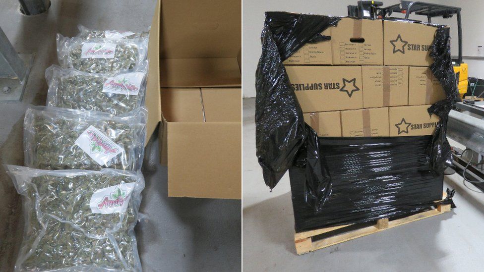 Seized Cannabis and pallet of boxes