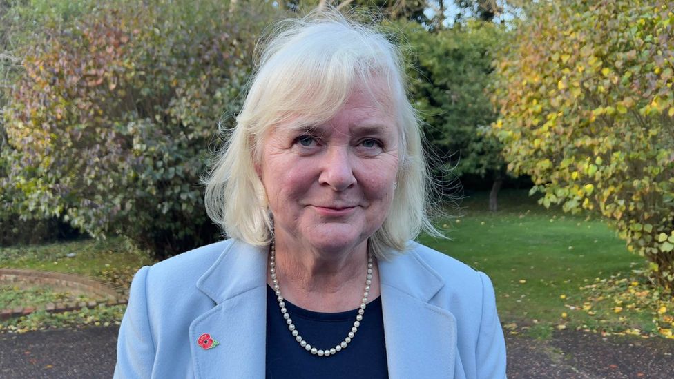 West Suffolk Conservative Association vice president Fiona Unwin