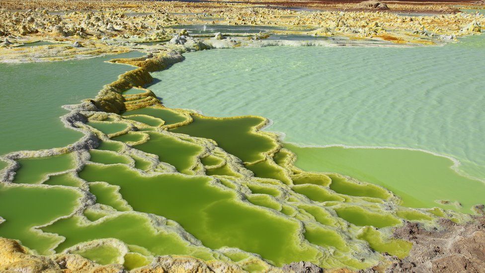 A green lake with salt residues around the edges