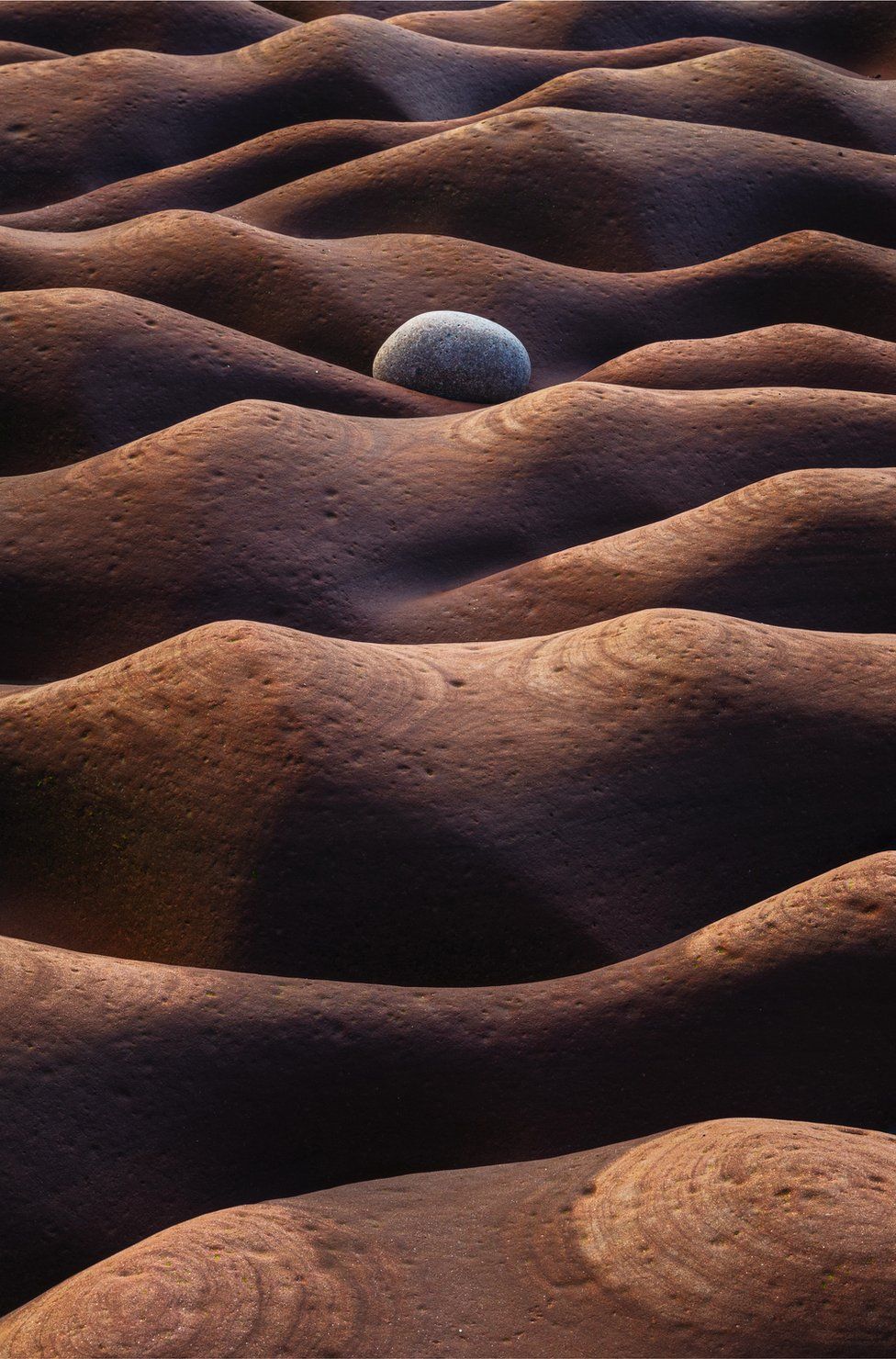A photo showing a stone on an undulating ground