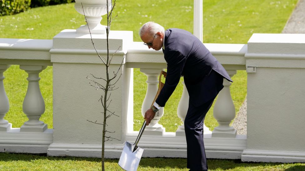 President Biden planting a tree in Dublin