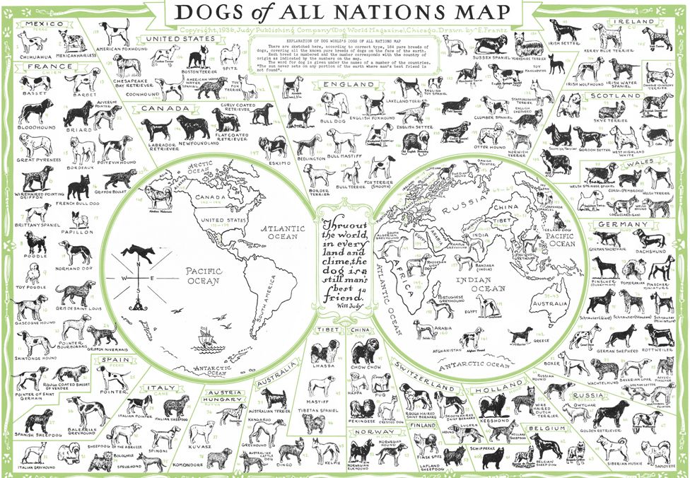 Mapa de los perros de todas las naciones del mundo