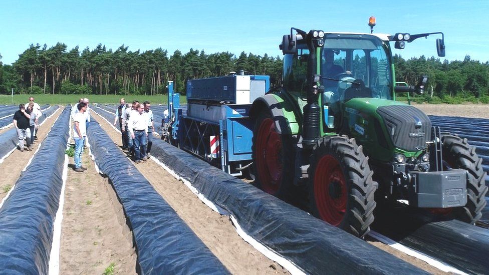 Asparagus picking robot pulled by tractor in a field