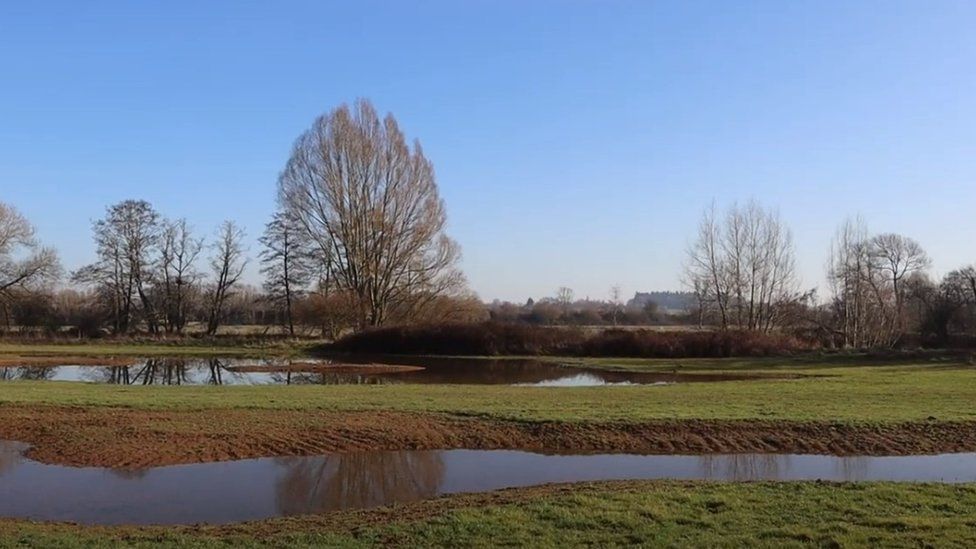 Pools at the site