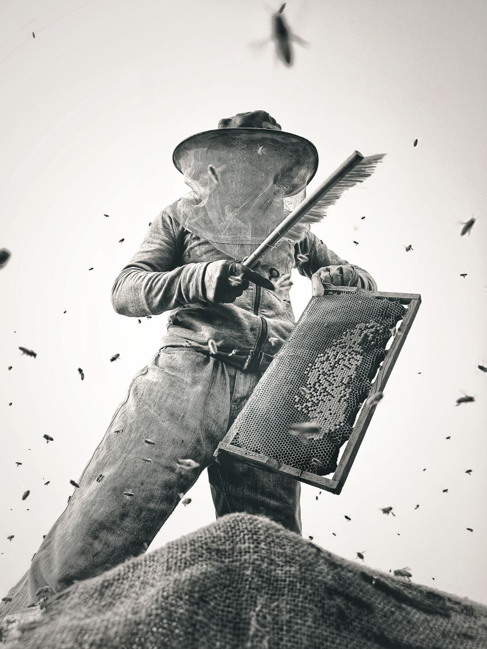 Black and white photo of a beekeeper