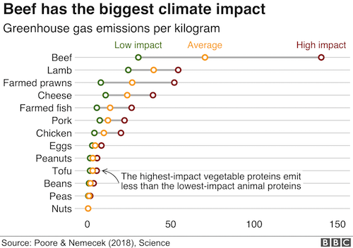 The Vegetarian 'meat' Aimed At Replacing The Real Thing - BBC News