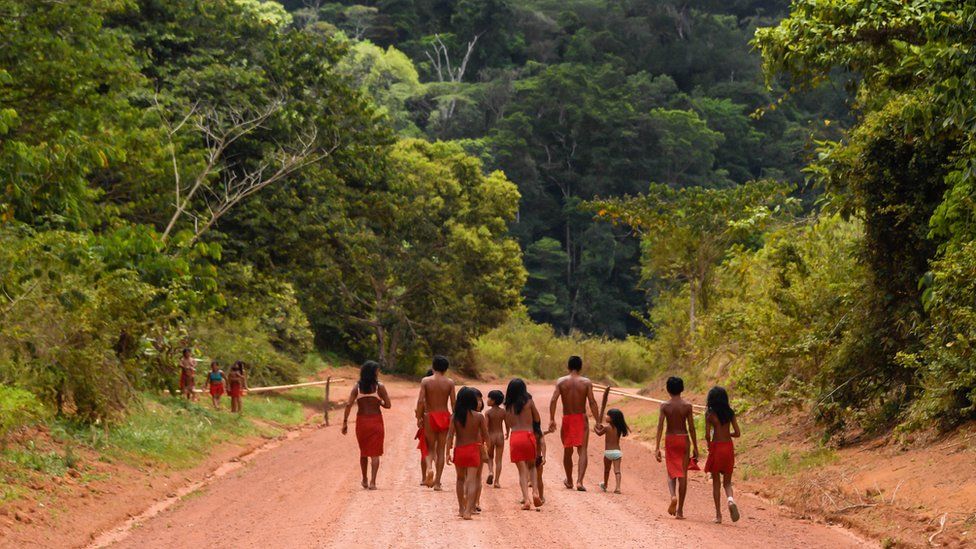 Brazils Indigenous People Miners Kill One In Invasion Of Protected 