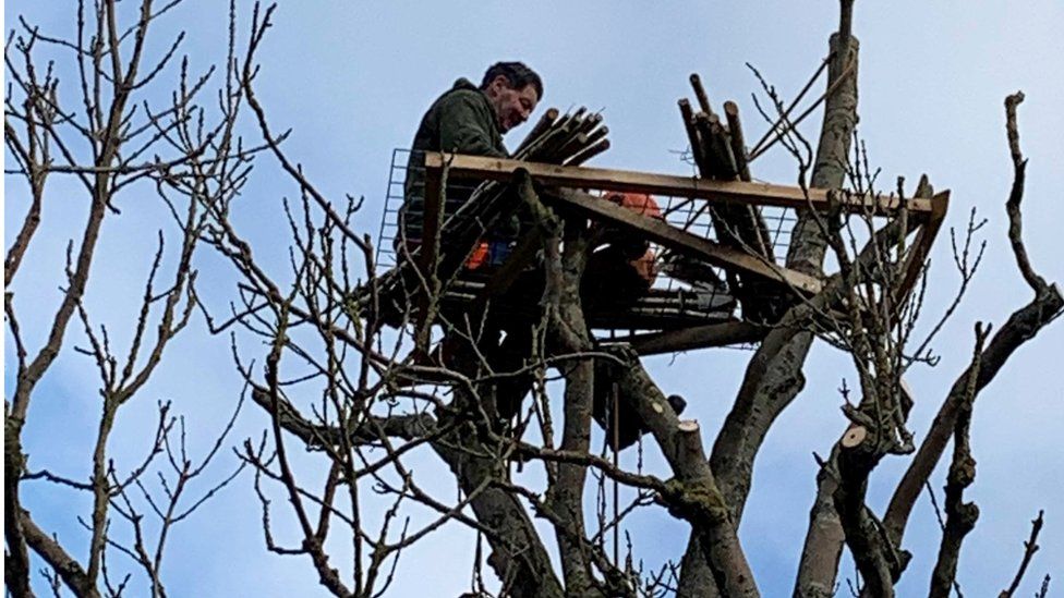 Brian Towers building a nest platform