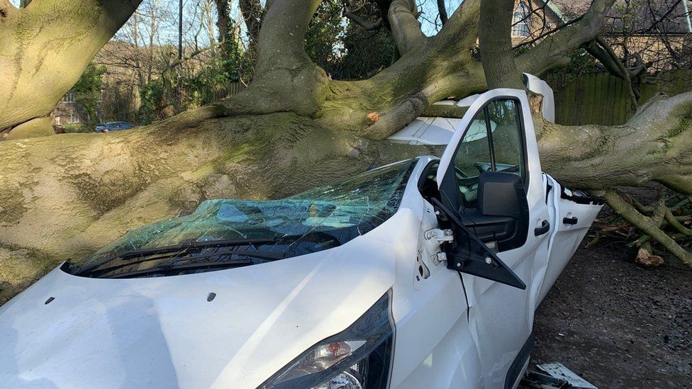 Van crushed by fallen tree, as a result of damage caused by Storm Malik on Saturday 29 January