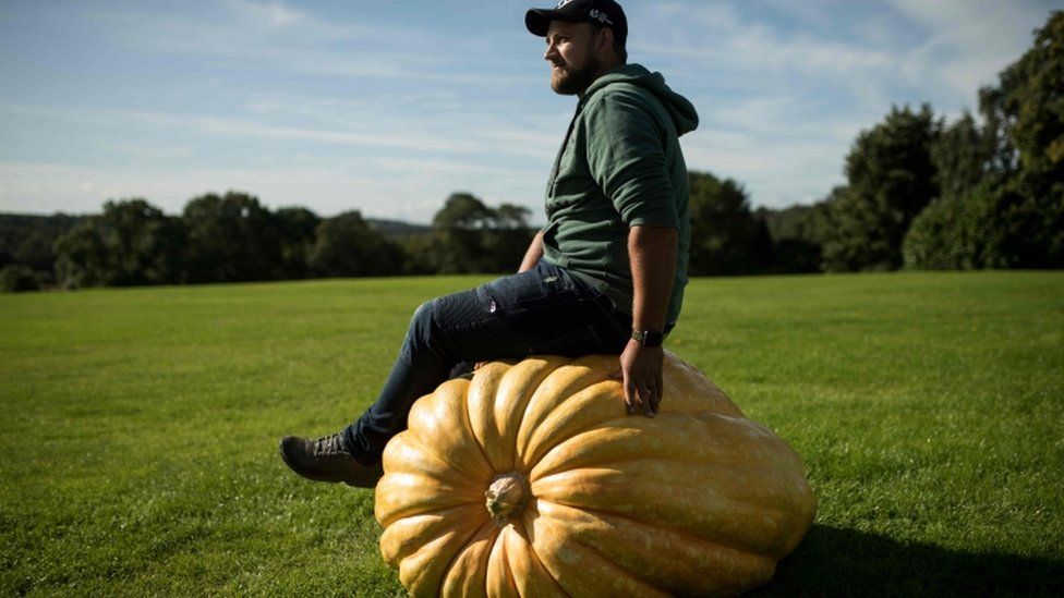 Man-sat-on-pumpkin.