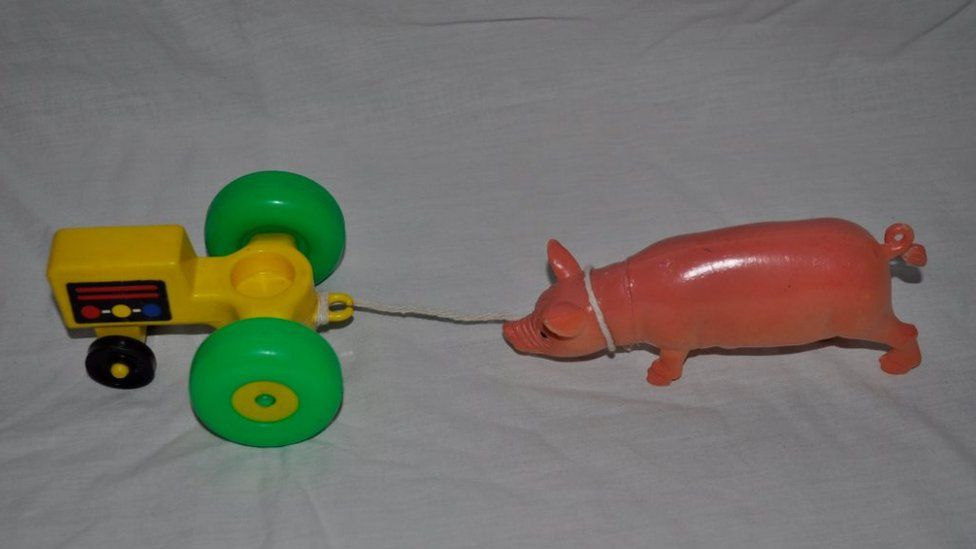 Turnip Prize entry: Pig being pulled by tractor
