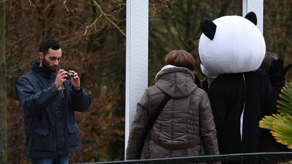 Visitors pose for photos with a panda mascot at Beauval Zoo, central France, January 2017