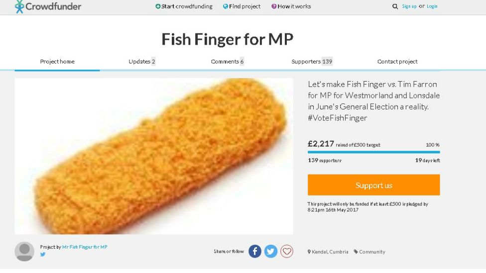 Screen grab of a crowdfunding page raising funds for Mr Fish Finger