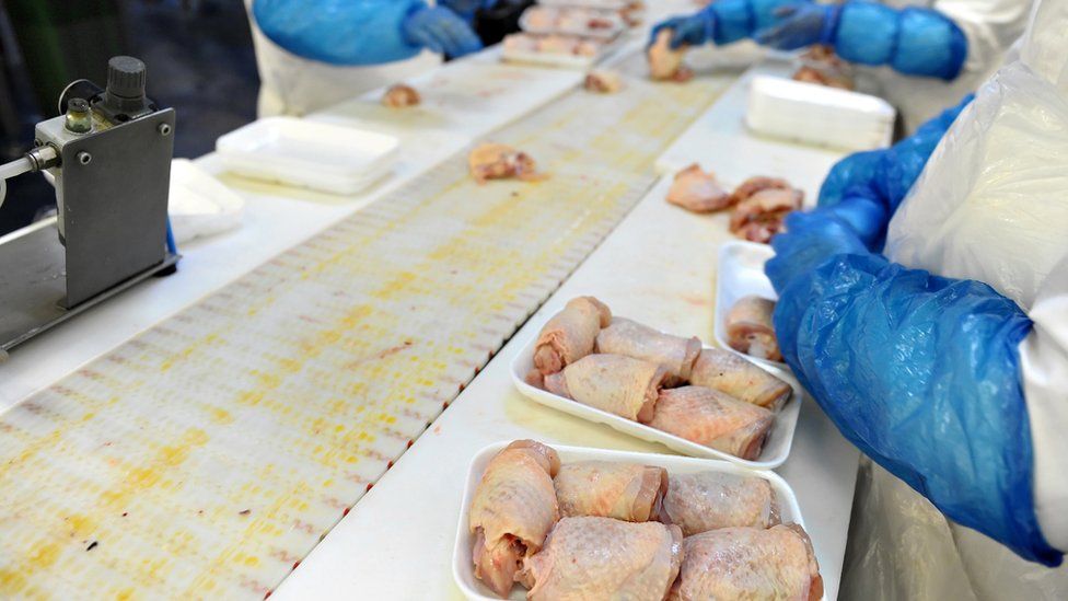 Chicken processing in a factory