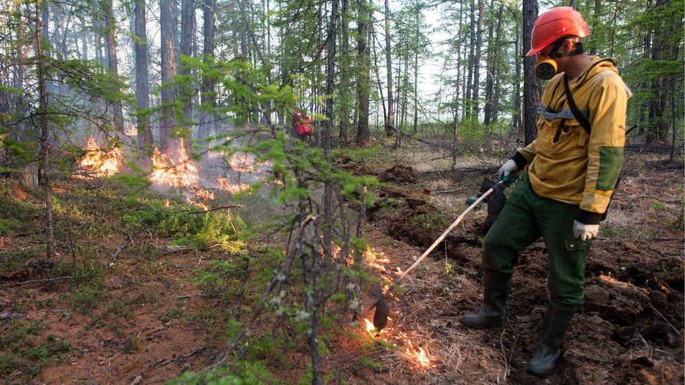 A forest fire in central Yakutia, Sakha Republic in June 2020