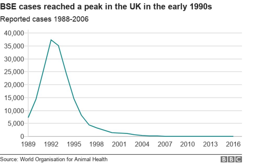 'Mad cow disease': What is BSE? - BBC News