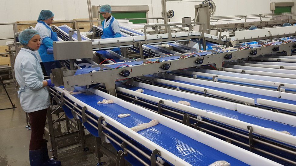 The production line at Icelandic fisheries firm Visir