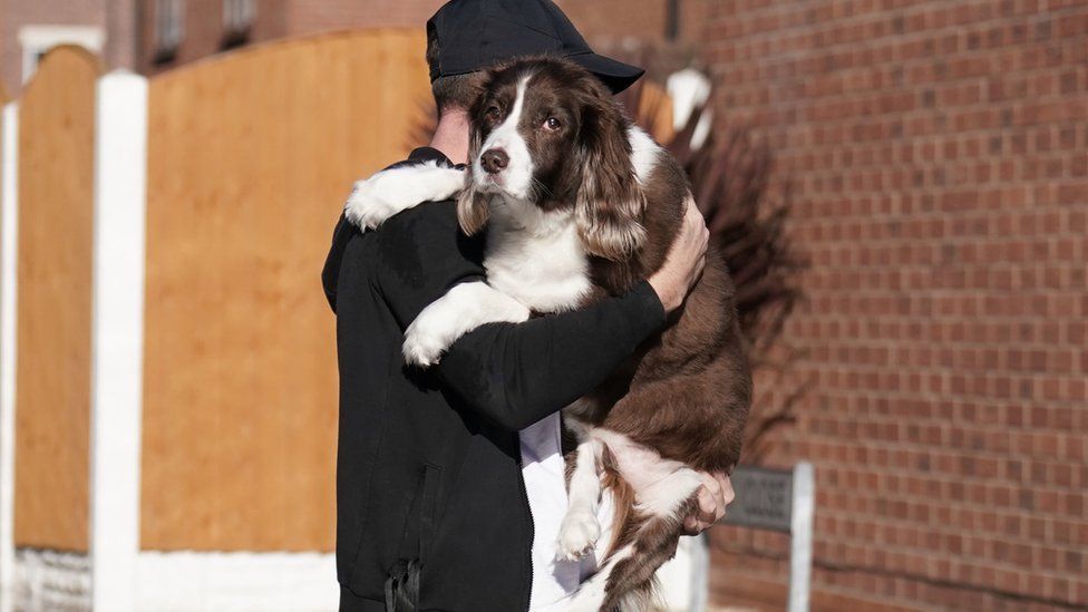 A dog carried over flooding in Retford in Nottinghamshire, after Storm Babet battered the UK, causing widespread flooding and high winds.