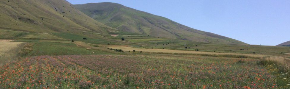 Cornflowers and poppies colour the 16 sq km plain surrounded by the Sibillini mountains