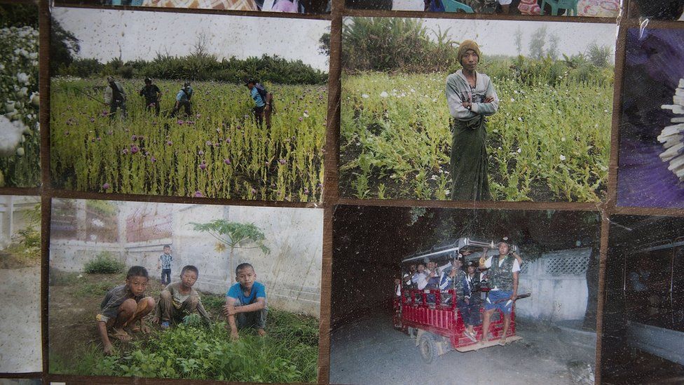 Photos of poppy clearing operations are on display at Pat Jasan headquarters in Myitkyina.