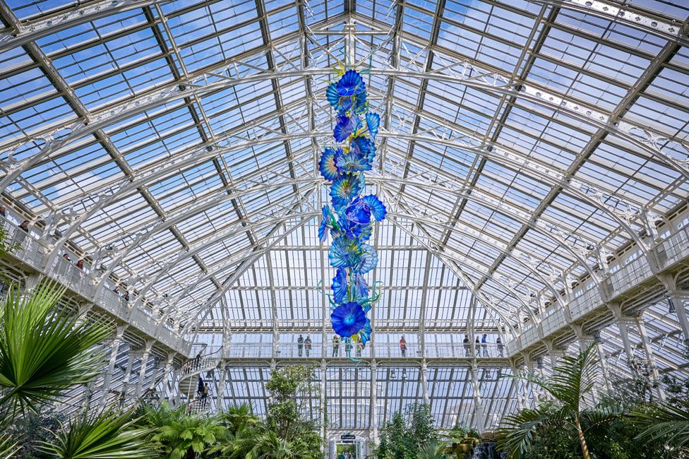 Temperate House Persians, 2019