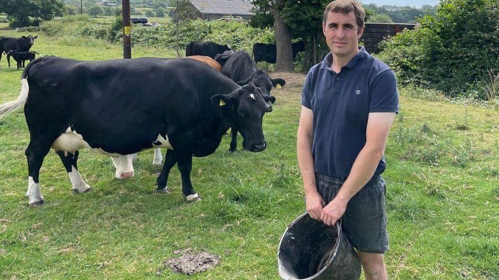 Farmer Tom Rees, standing in front of cows